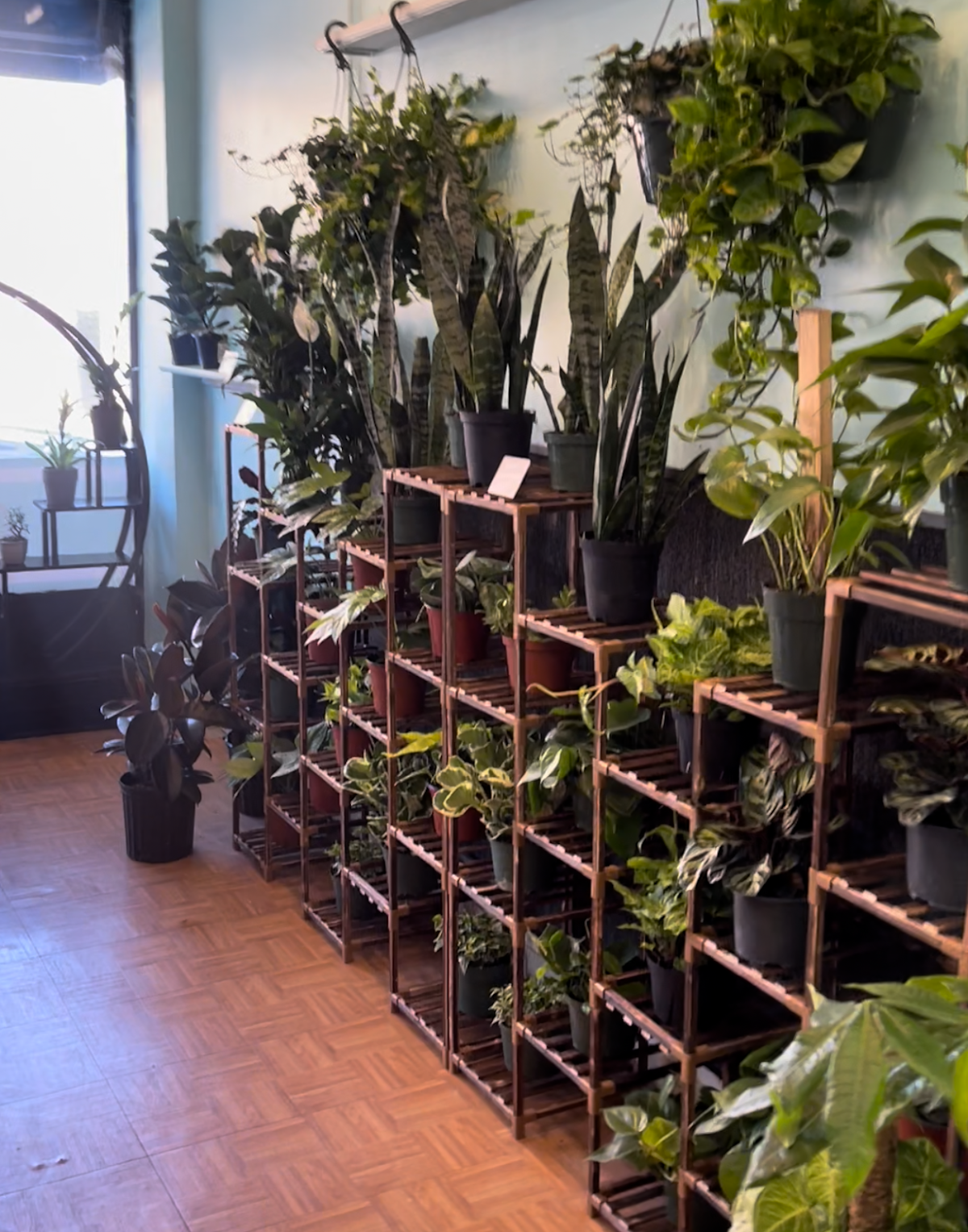 Goldie's Flowers & gifts: Google Places image 2