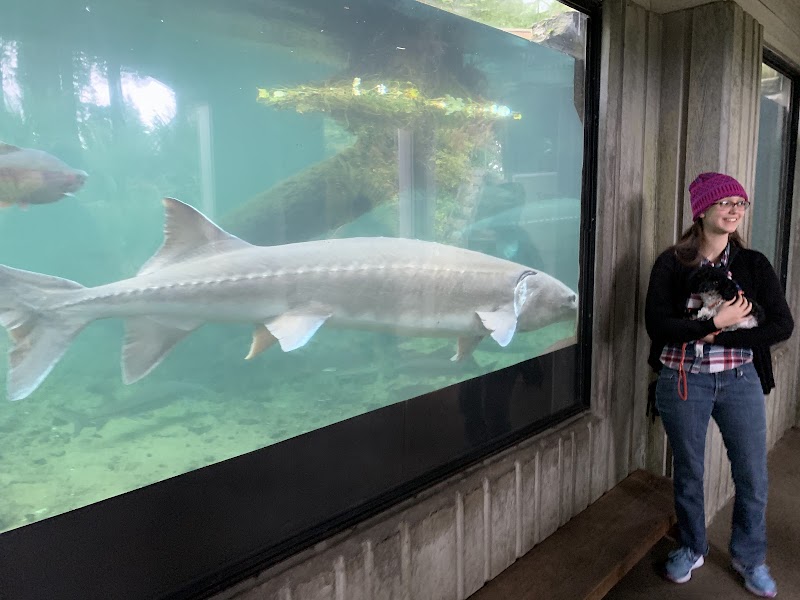 Bonneville Fish Hatchery - Photo 2