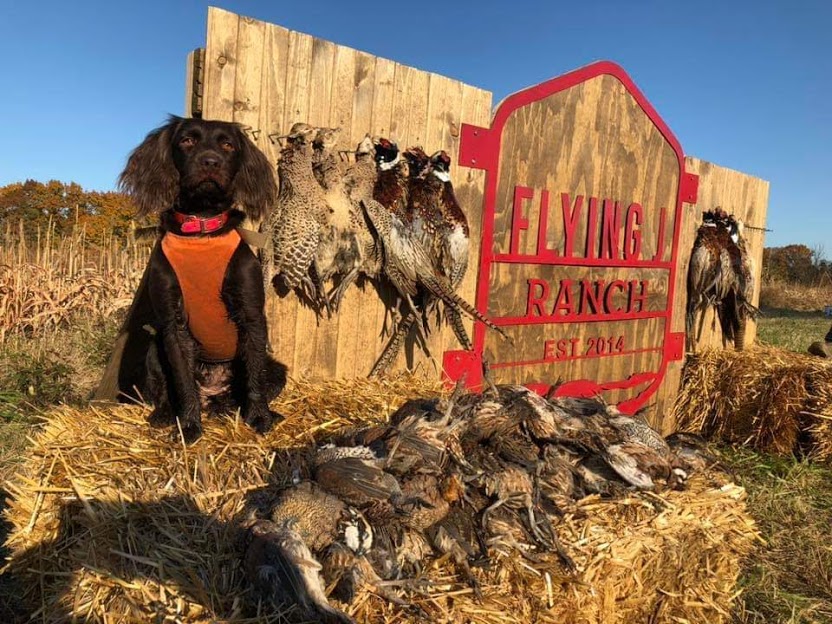 Flying J Ranch and Hunt Club
