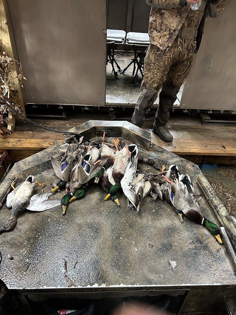 Treasure Island Outfitters LLC - Photo 4
