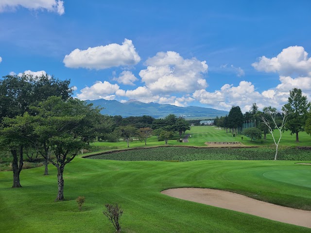 25 Nasu Golf Garden - Photo 2