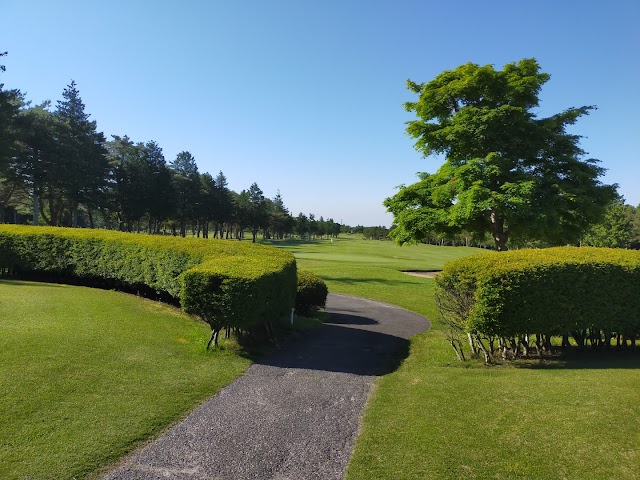 25 Nasu Golf Garden - Photo 4