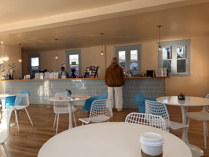 Vivid Minds Cafe photo 3