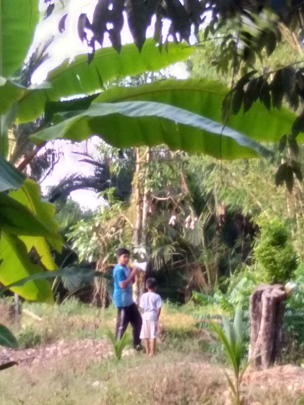 Burger Celup Pendang - Photo 1