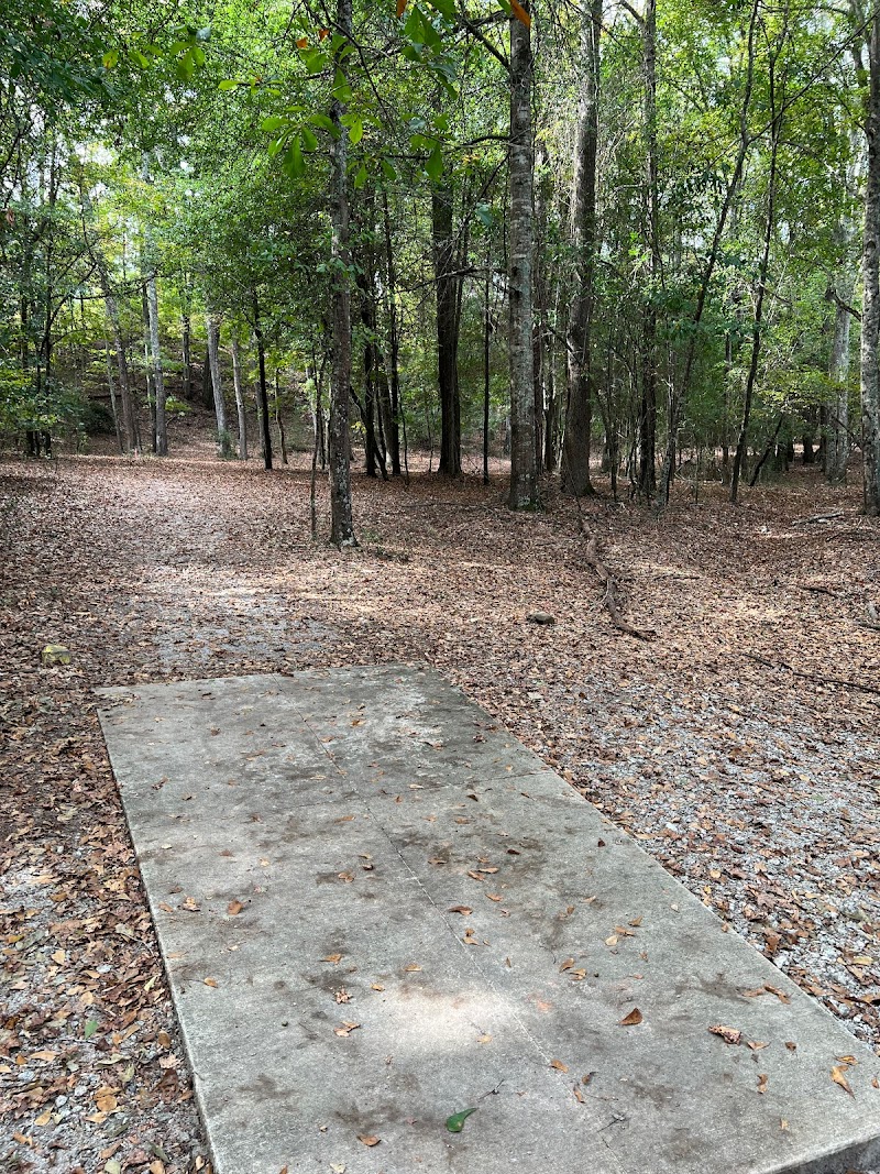 Five Star Disc Golf Course photo 5