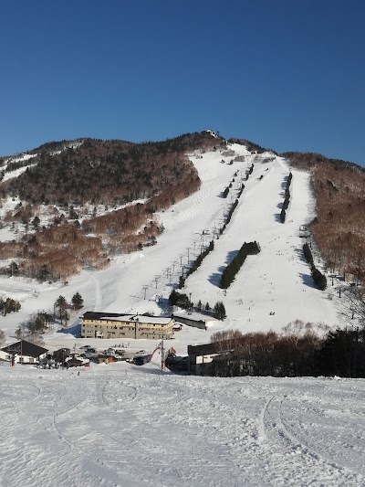 Shiga Kogen Takamagahara Mammoth Ski Area - 1