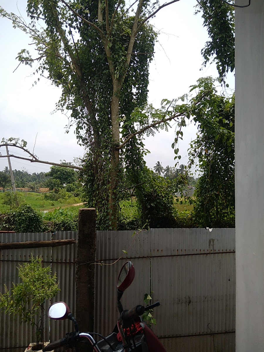 Muddapara photo 1
