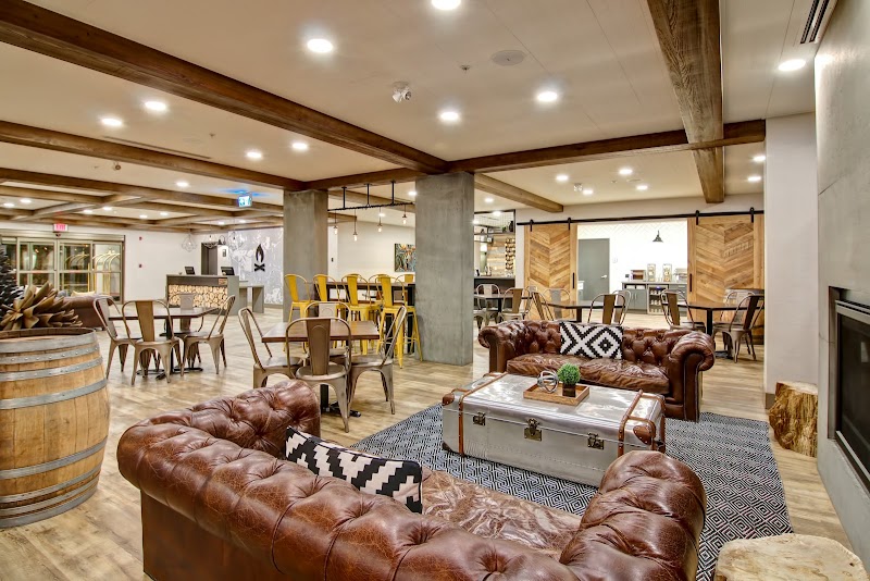 The Happy Camper Café & Bar photo 1