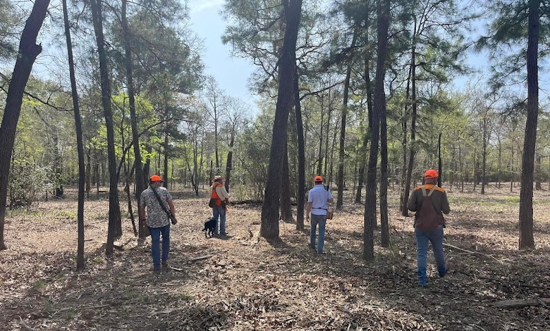 Feathered Forest Hunt Club - Photo 6