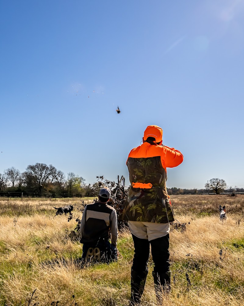 Feathered Forest Hunt Club - Photo 2