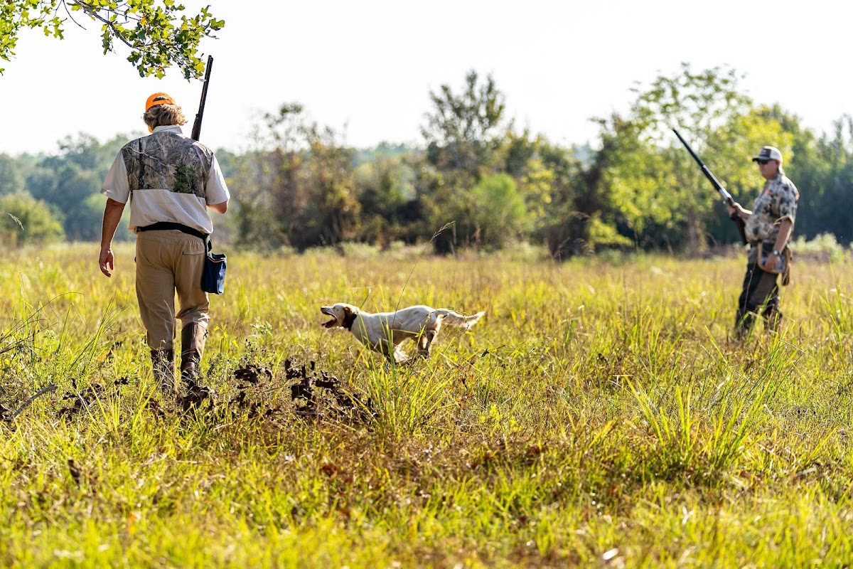 Feathered Forest Hunt Club