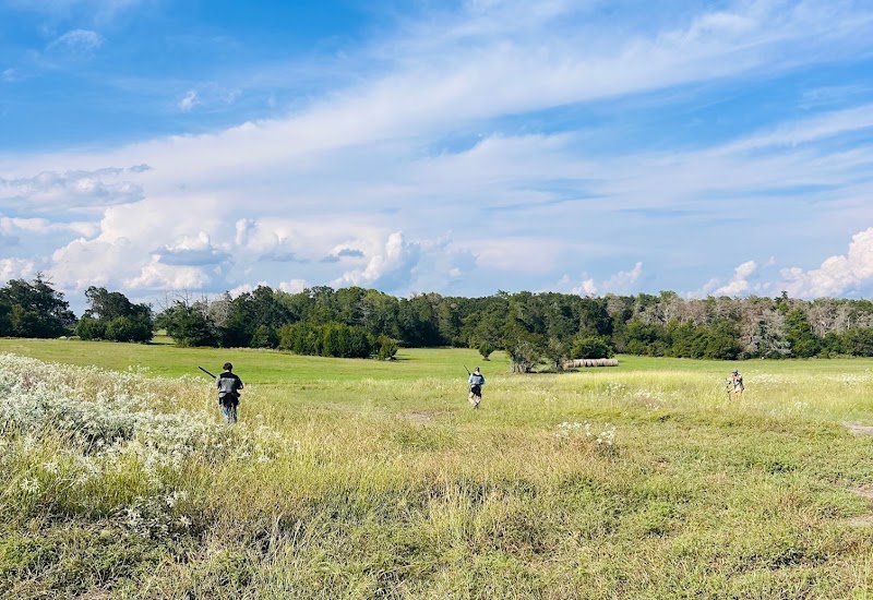 Feathered Forest Hunt Club - Photo 4
