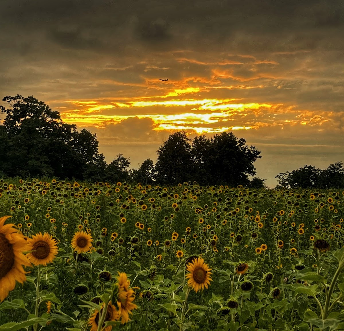 McKee-Beshers Wildlife Management Area