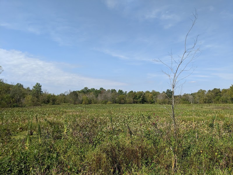 McKee-Beshers Wildlife Management Area - Photo 1