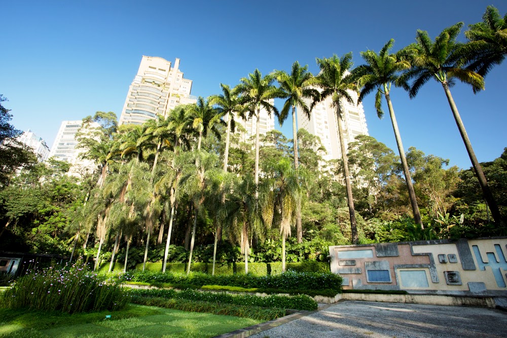 Parque Burle Marx fotoğraf 1