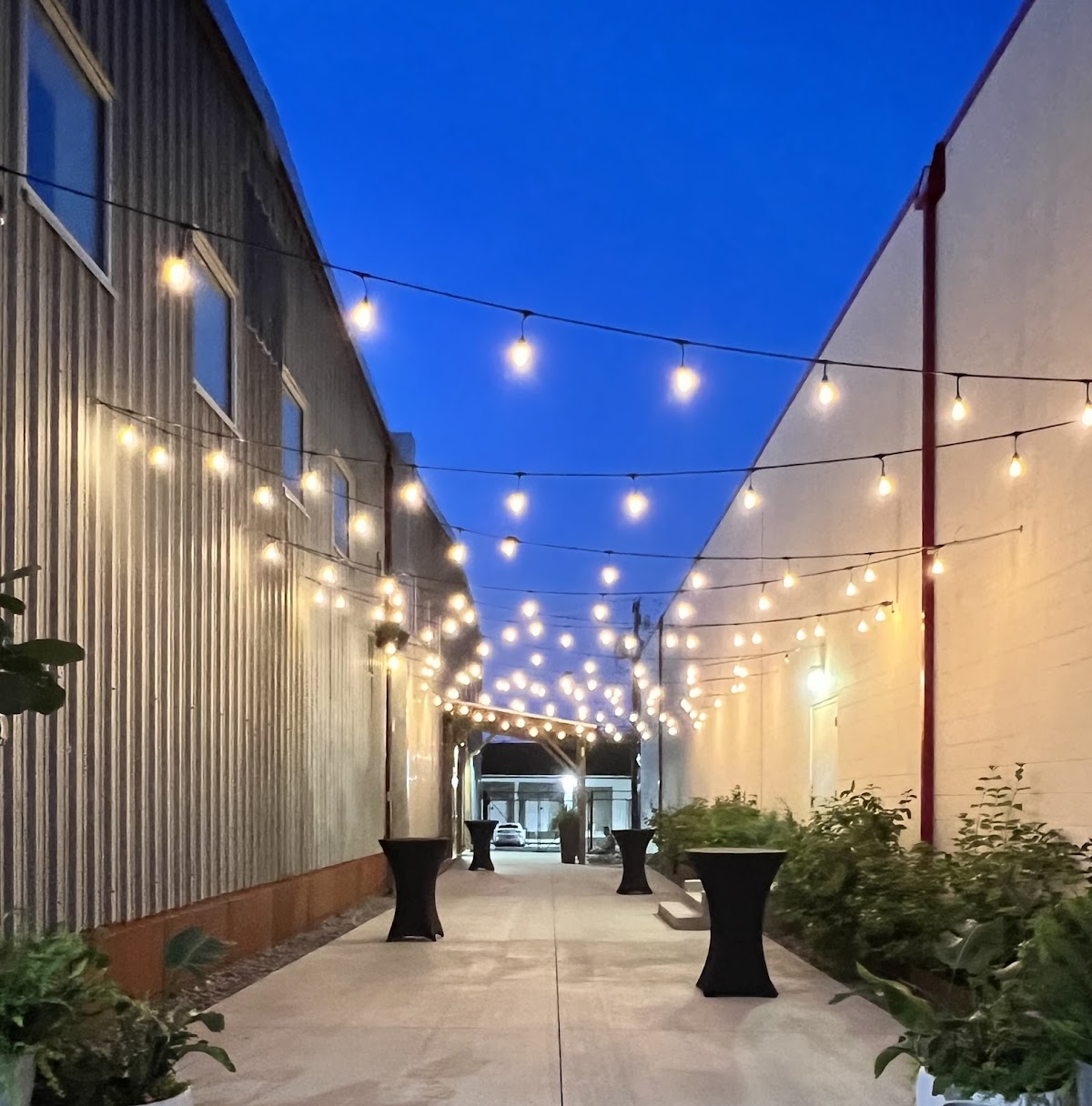 The Luminare: Google Places image 4