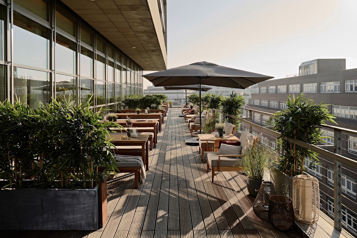 SIDE, a Member of Design Hotels, dog-friendly hotel, photo 4
