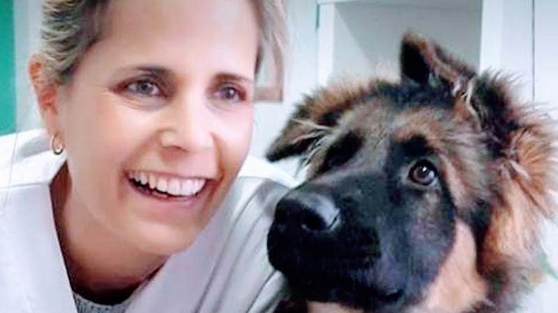 Centro Veterinario Mi Vet Maritina