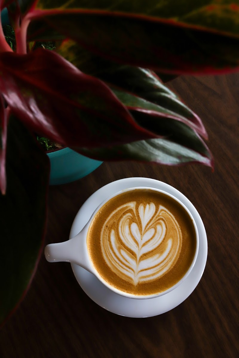 Kekoa Brew Co. Coffee Roasters photo 2