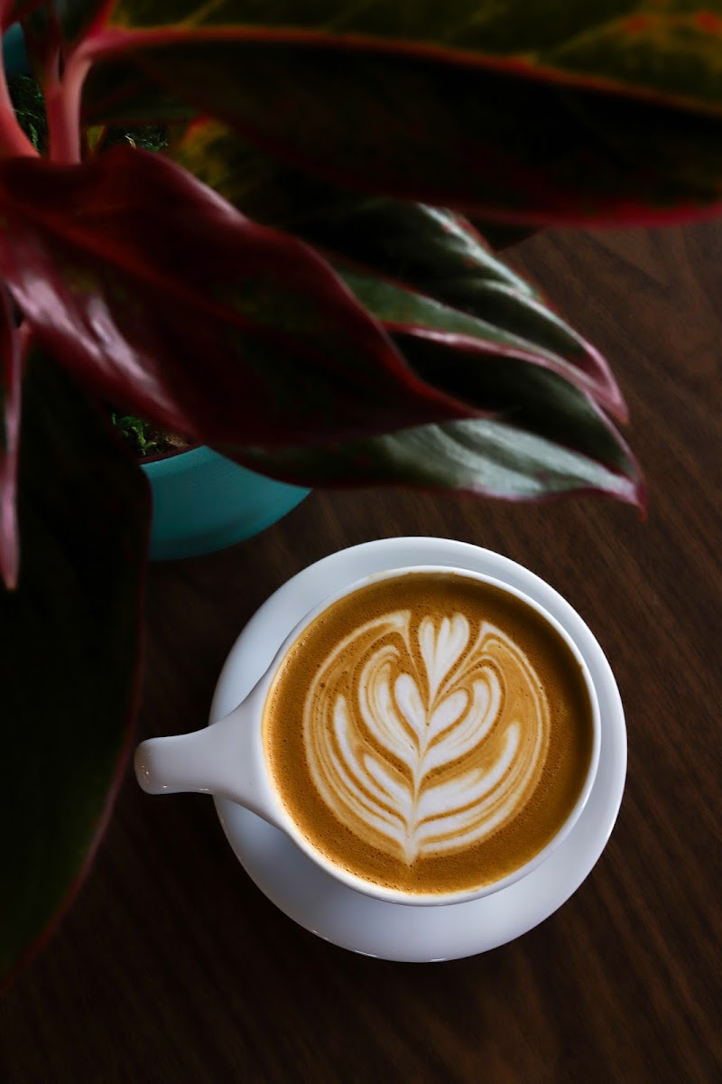 Kekoa Brew Co. Coffee Roasters photo 2