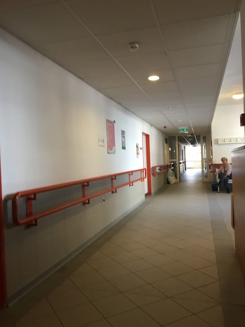 Gallery 2