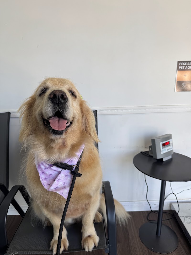 Foto de Clínica Veterinária DermaVet