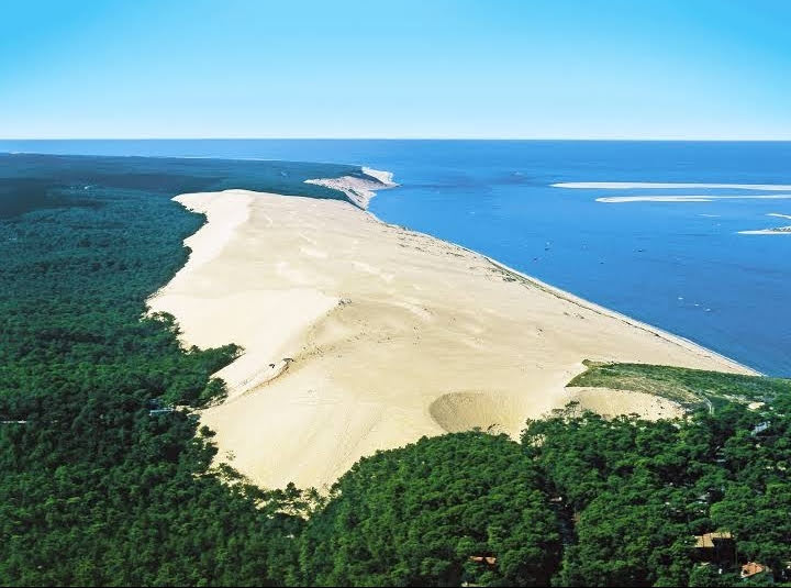Best Dog-Friendly Hotels in Arcachon and Cap Ferret, France
