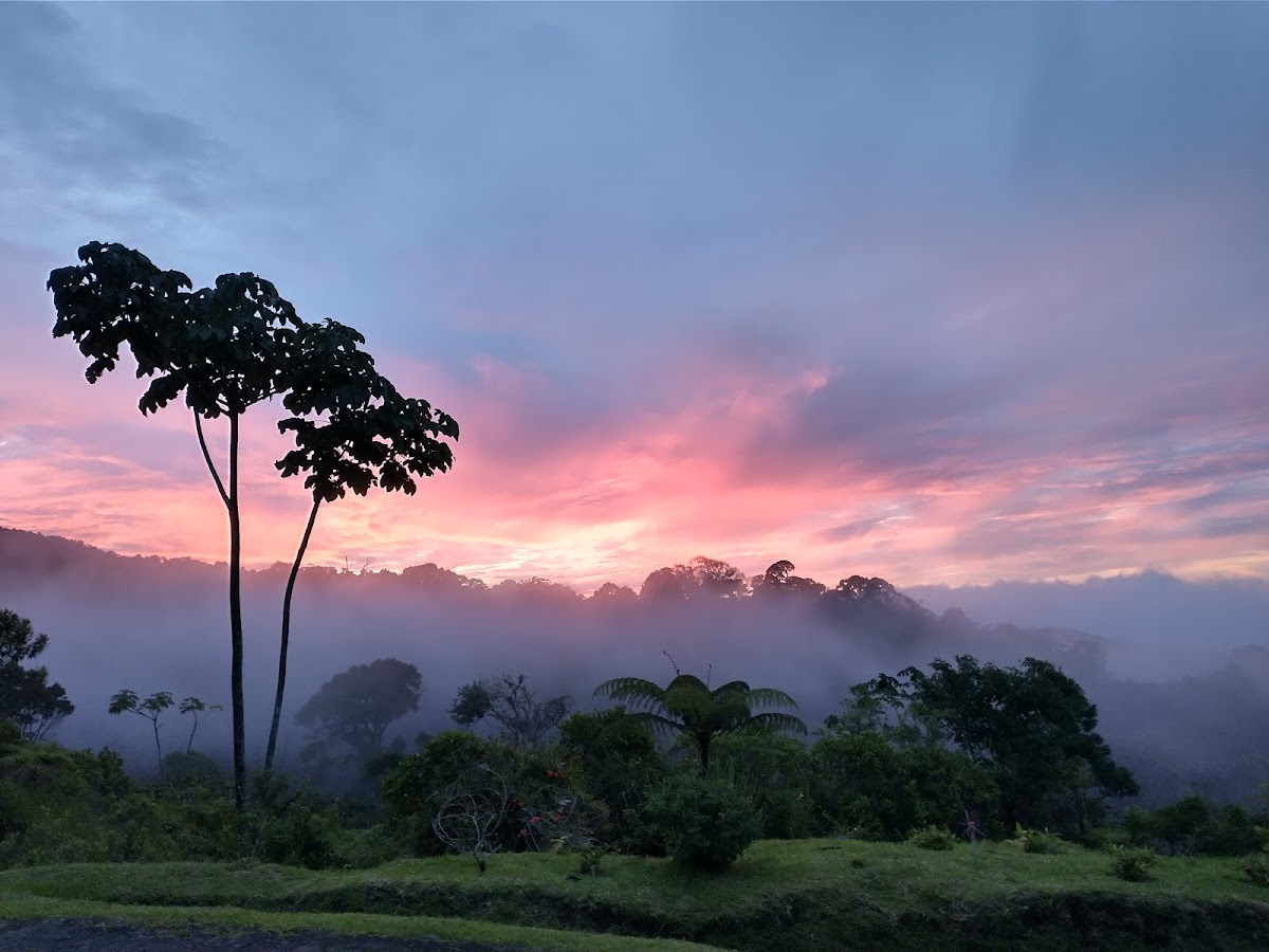 Finca 360 — 4