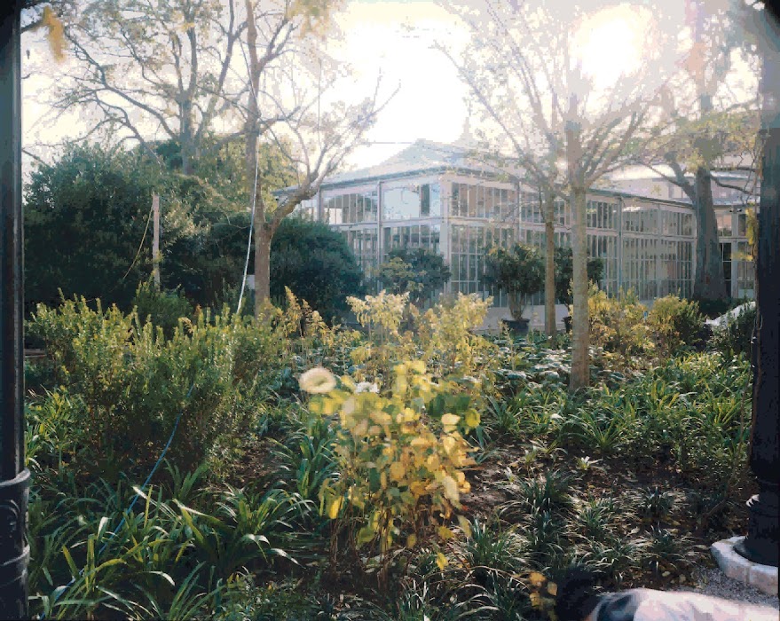 Giardini Reali fotoğraf 1