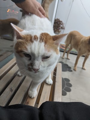 Adar Veterinary Clinic Center