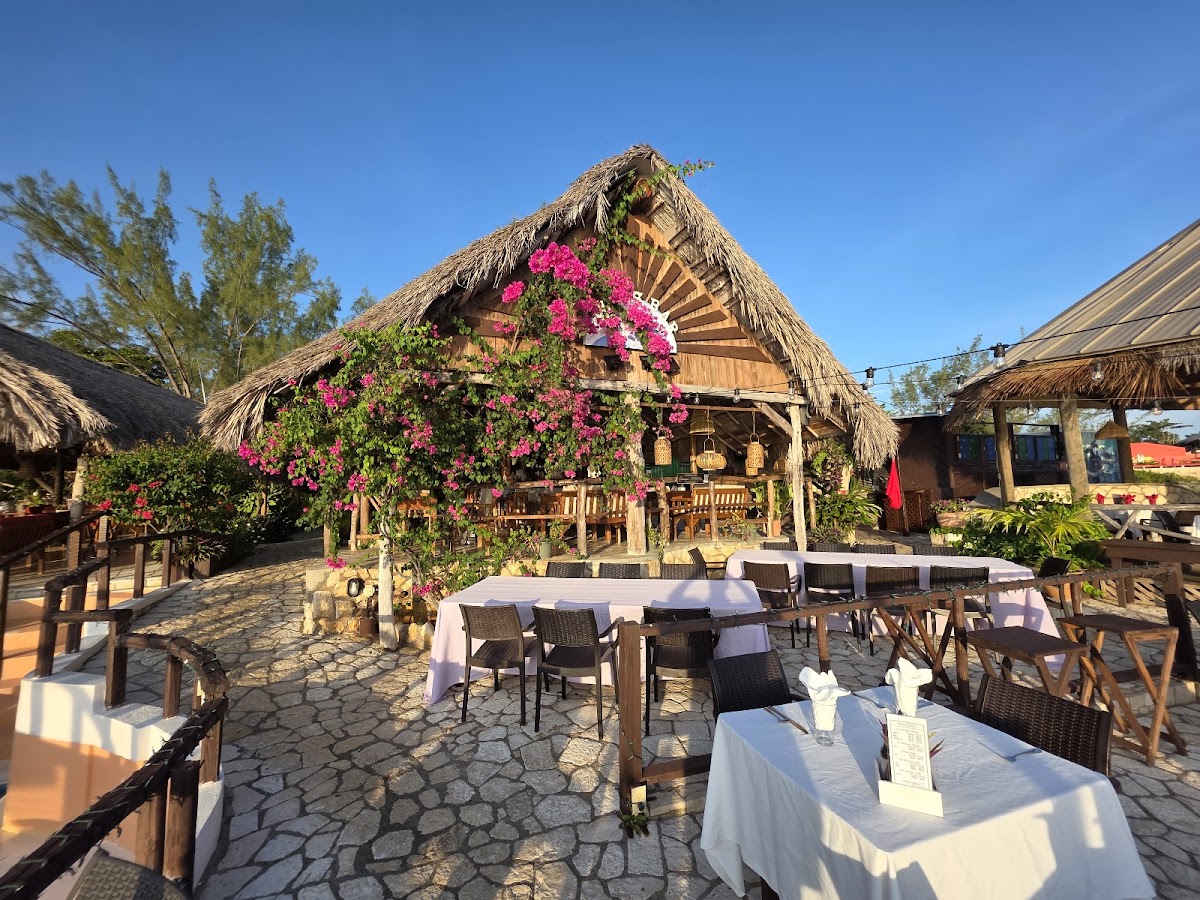 Ivan's in jamaica