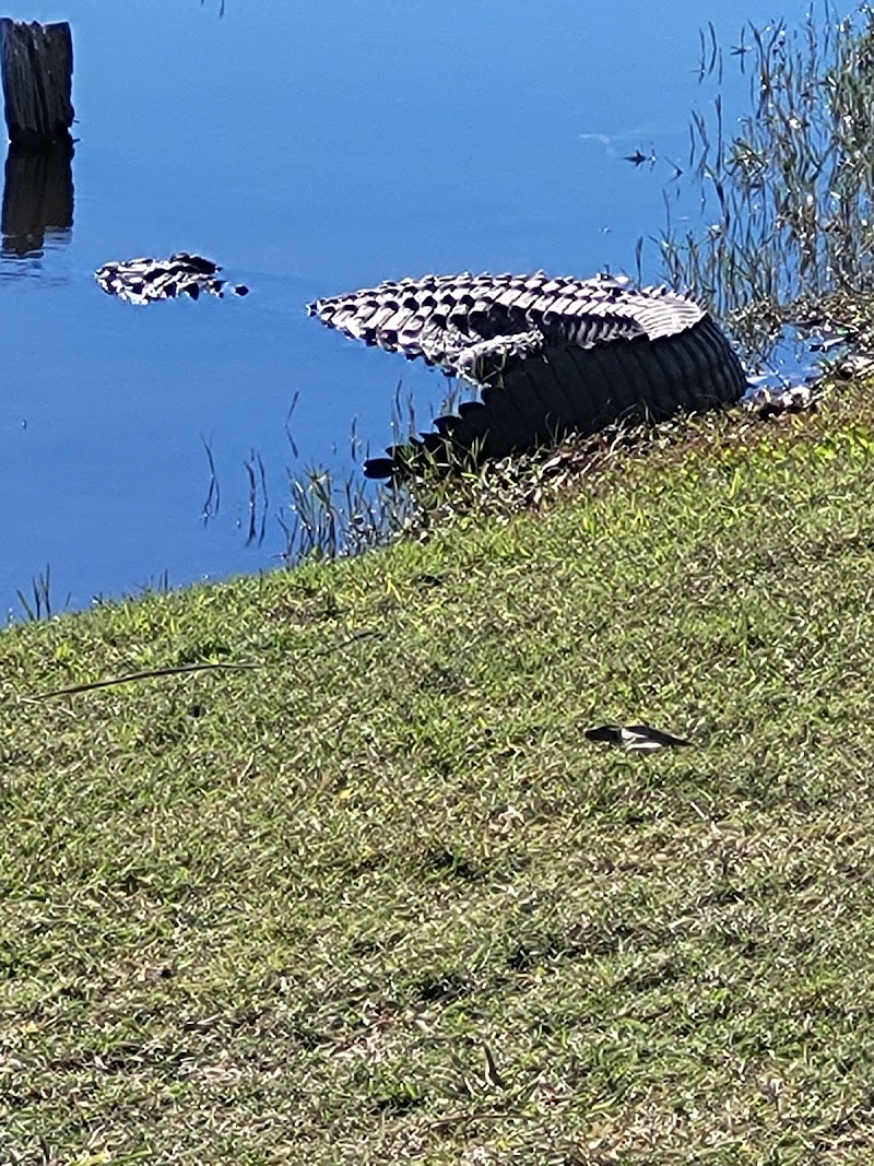 Blue Heron Pines Golf Course photo 2