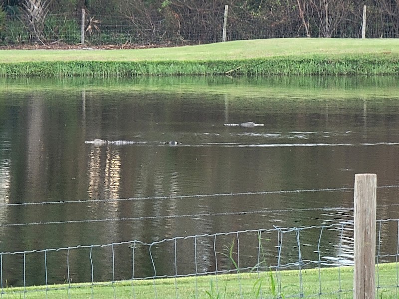 Blue Heron Pines Golf Course photo 1