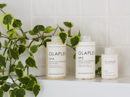 Studio Santo photo 2