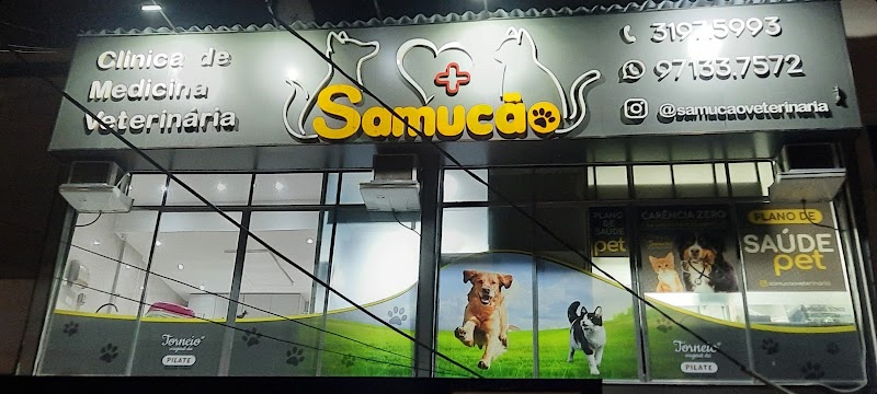 Clínica Veterinária Samucão - Laranjeiras 24h - foto 2