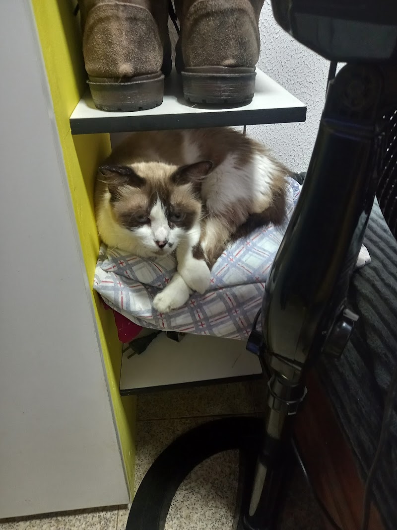 Clínica Veterinária Samucão - Laranjeiras 24h - foto 4