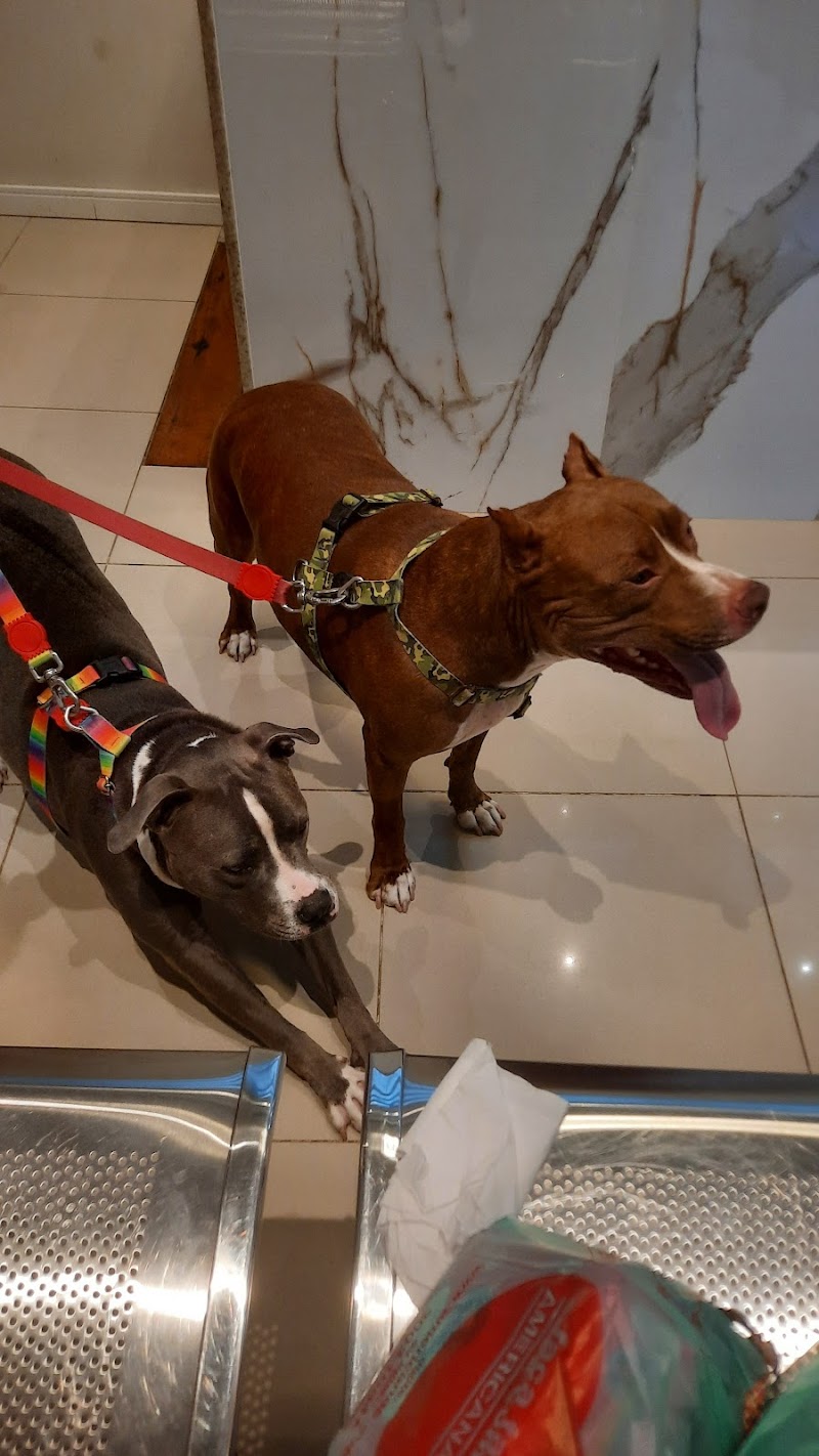 Clínica Veterinária Samucão - Laranjeiras 24h - foto 5