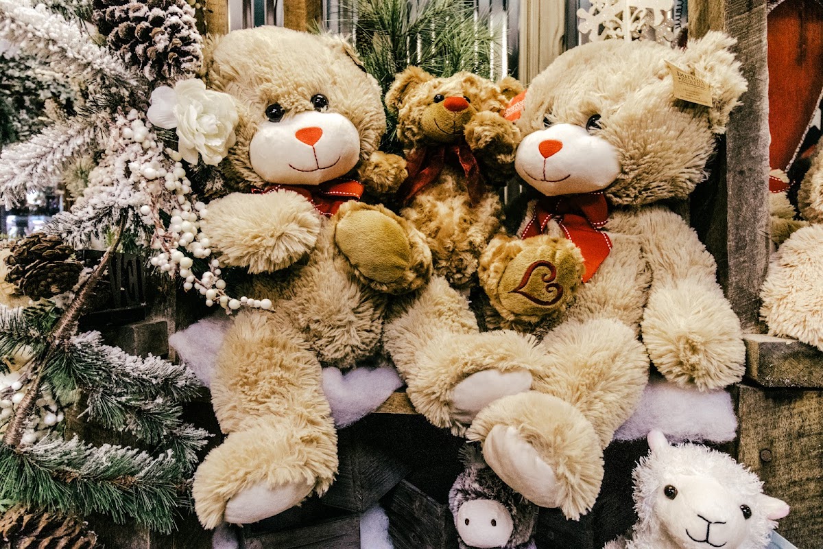 The Bellevue Florist: Google Places image 5