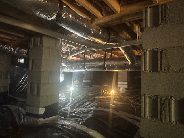 Claro - Complete Mold Remediation - Nashville — photo
