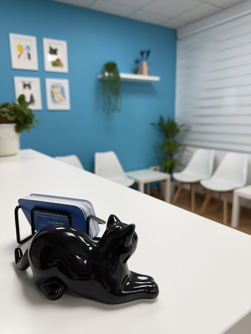 Gateando Clínica Felina