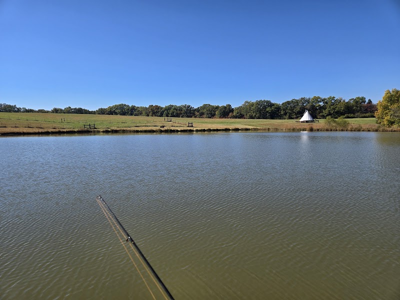Red Mule Ranch - Photo 1