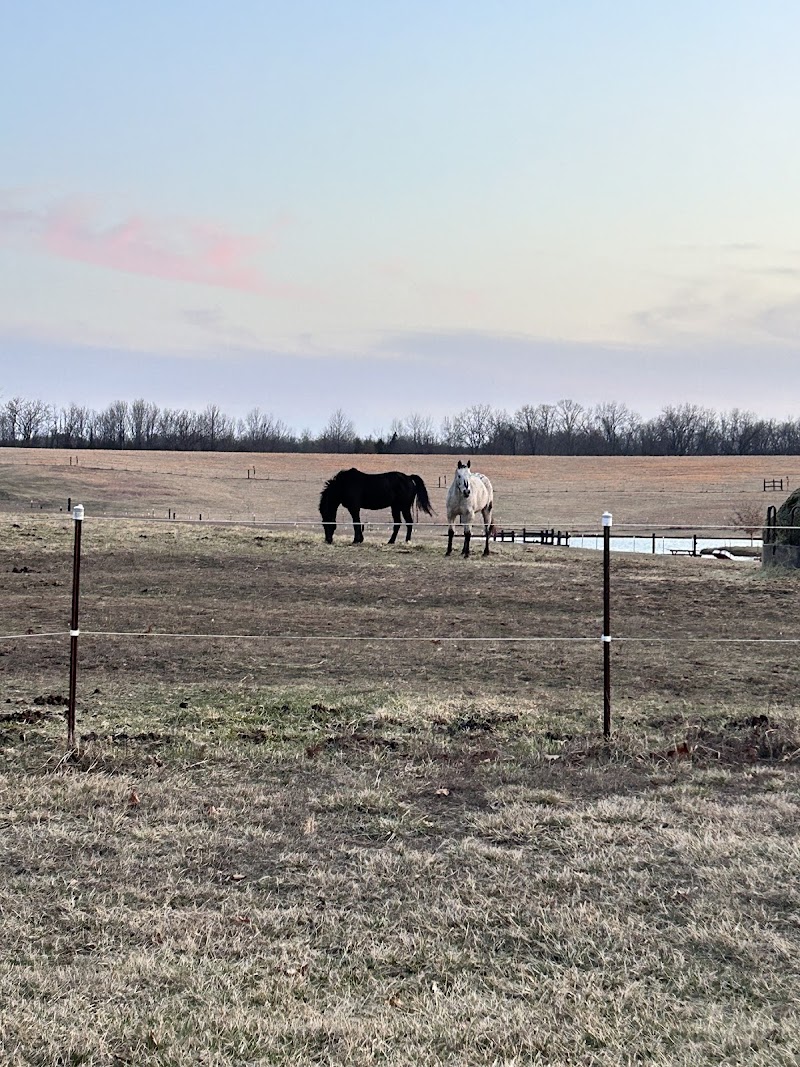 Red Mule Ranch - Photo 3
