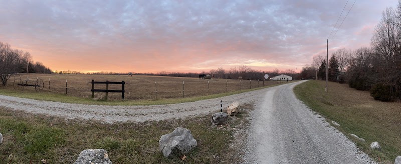 Red Mule Ranch - Photo 5