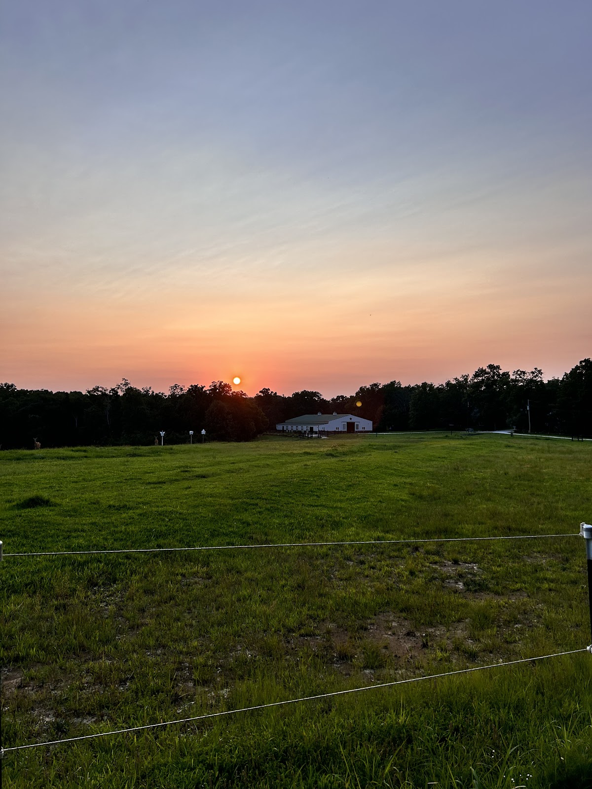 Red Mule Ranch