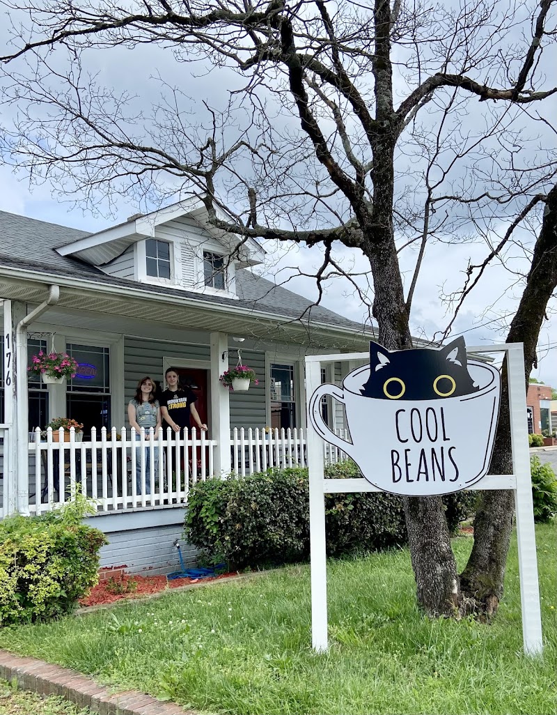 Cool Beans Cat Cafe photo 3