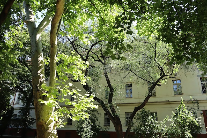 Gallery 4