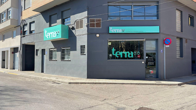Clínica veterinaria Terra Villarreal