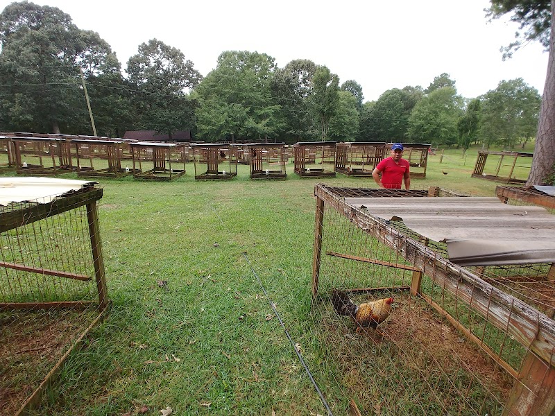 Pucketts Game Farm - Photo 5