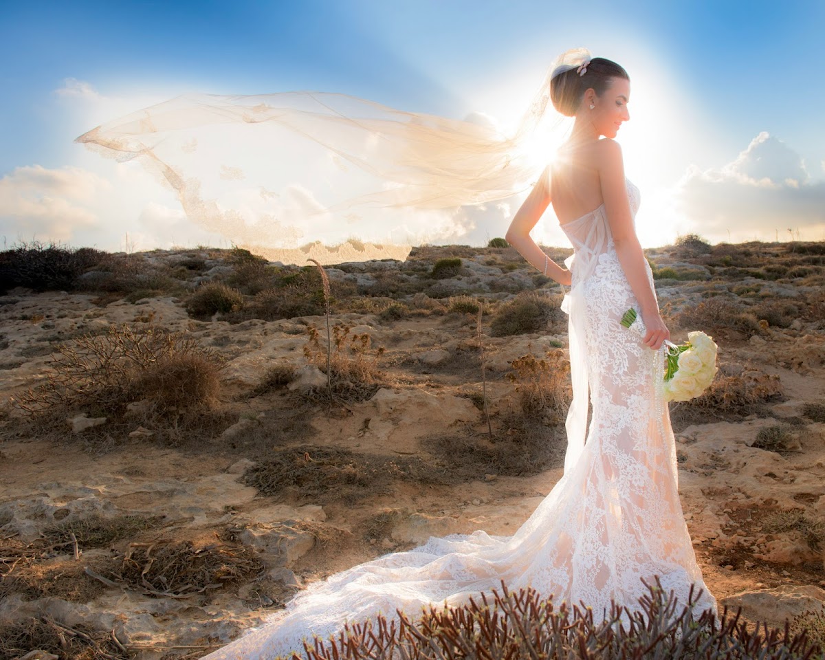 Jamie Levine Photography: Google Places image 3