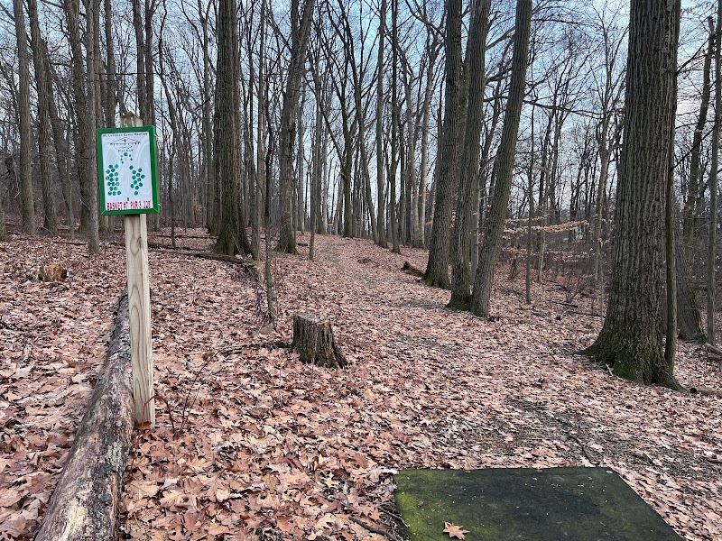 Mount Lebanon Disc Golf Course photo 3